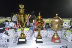 12431714_1066115586754479_1945830002_n