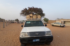 SAM_5056