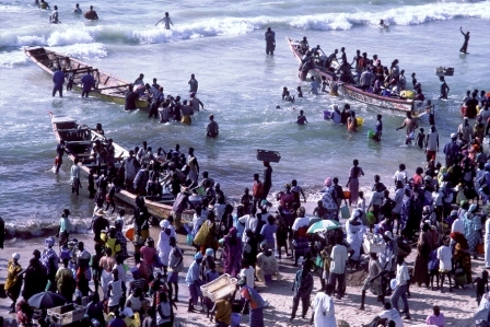 Ndarinfo01102.jpg Ndarinfo01102.jpg
