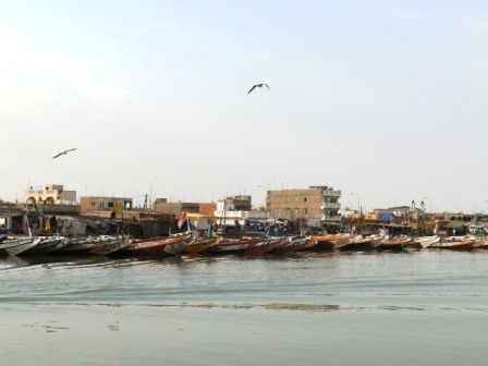 Ndarinfo01159.JPG Ndarinfo01159.JPG