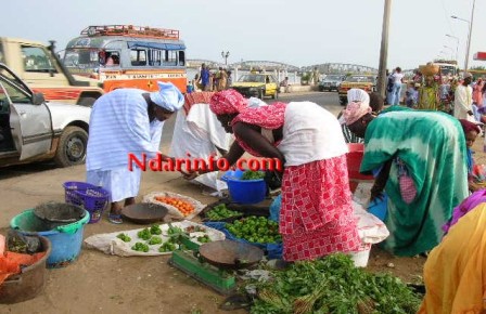 Ndarinfo03.JPG Ndarinfo03.JPG