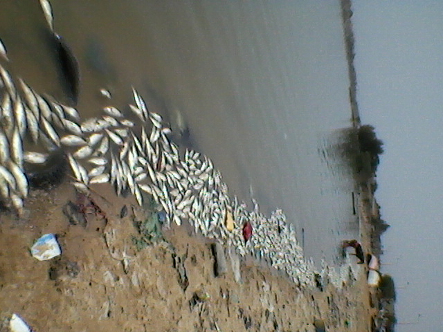 Photo-0009 Photo-0009