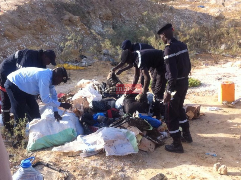 10390503_10205737739586501_6864679801712737182_n