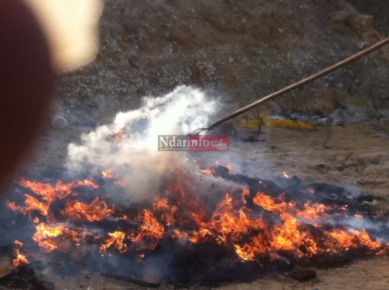 10406428_10205737717665953_4147024731403522514_n