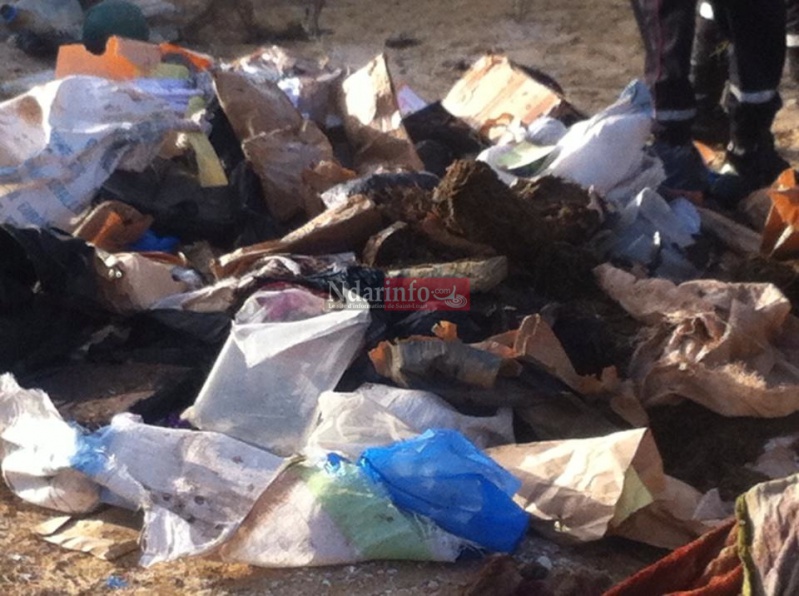 10410386_10205737706065663_4960456630269947433_n