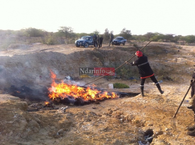 10849950_10205737716945935_7805252396974509102_n