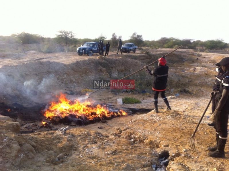 14597_10205737716505924_5180763037284931528_n