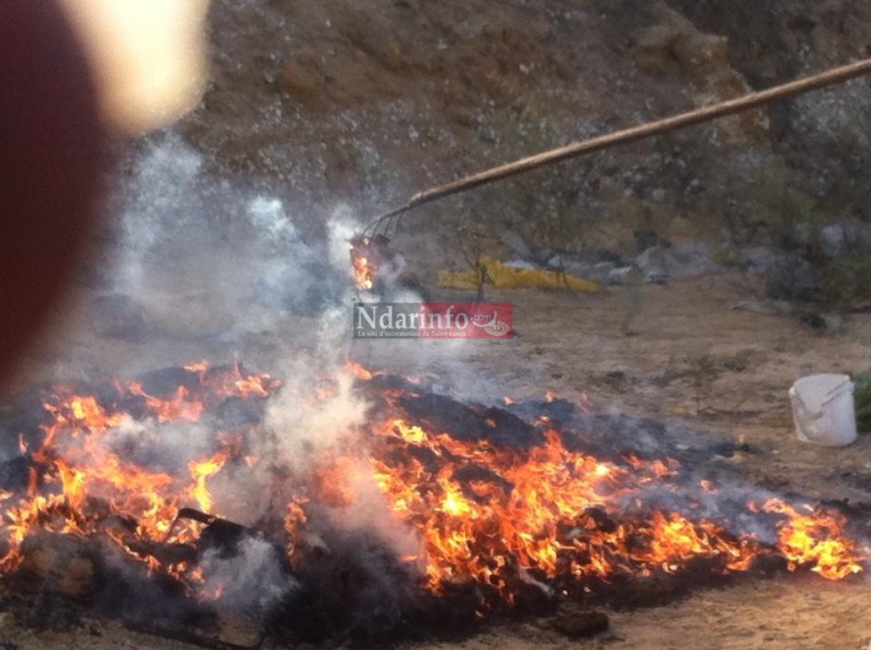 14597_10205737718065963_1678243401744659082_n