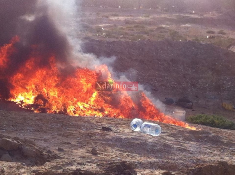 1452241_10205737729786256_7128132465826031558_n