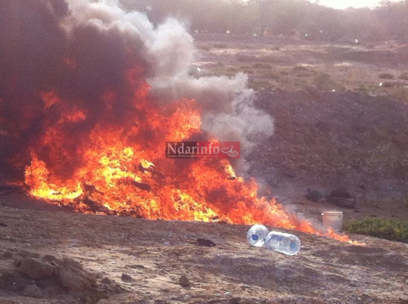 10351258_10205737730306269_6592207488634757353_n 10351258_10205737730306269_6592207488634757353_n