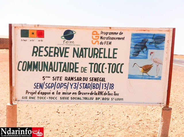 10022015-10877567_10206251757636631_686400253_n