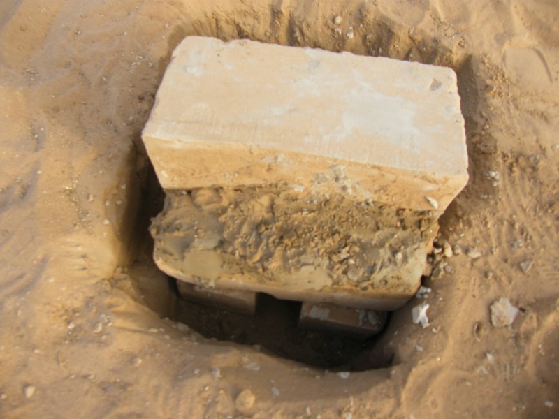 12914832_1124811277551576_1771647671_o