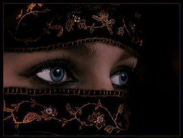 زوجتيالغالية زوجتيالغالية